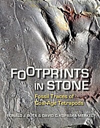 Footprints in Stone: Fossil Traces of Coal-Age Tetrapods (Paperback, First Edition)