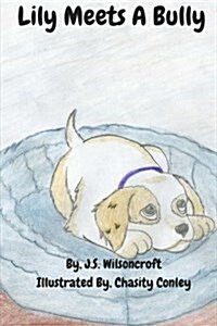 Lily Meets a Bully (Paperback)