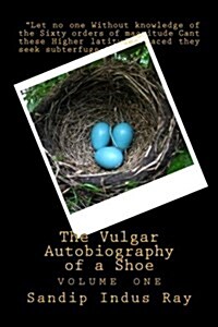 The Vulgar Autobiography of a Shoe: Volume One (Paperback)