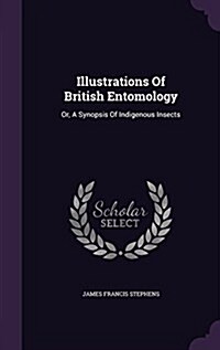 Illustrations of British Entomology: Or, a Synopsis of Indigenous Insects (Hardcover)