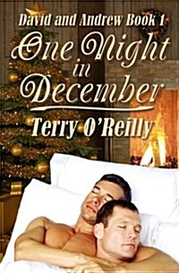 David and Andrew Book 1: One Night in December (Paperback)