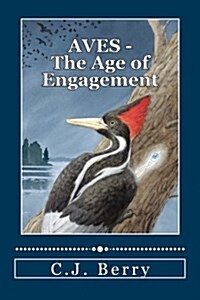 Aves - The Age of Engagement (Paperback)