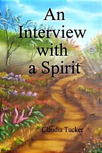 An Interview with a Spirit (Paperback)