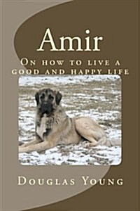 Amir (Paperback)