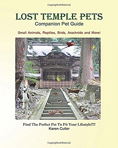 Lost Temple Pets: Pick the Perfect Pet for Your Lifestyle! (Paperback)