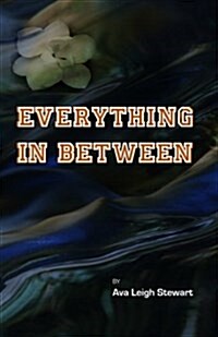 Everything in Between (Paperback)