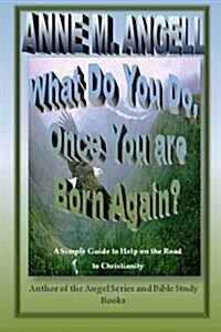 What Do You Do, Once You Are Born Again? (Paperback)