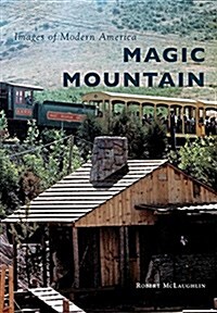 Magic Mountain (Paperback)
