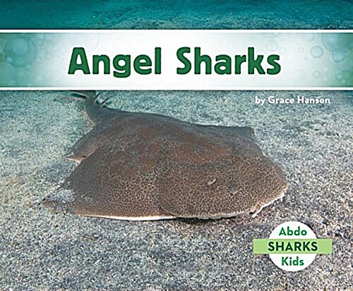 Angel Sharks (Library Binding)