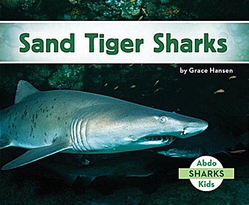 Sand Tiger Sharks (Library Binding)