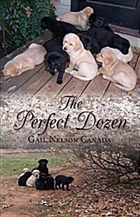 The Perfect Dozen (Paperback)