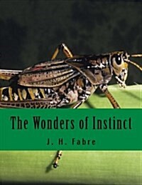 The Wonders of Instinct (Paperback)