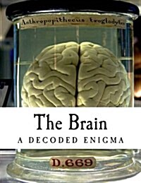 The Brain: A Decoded Enigma (Paperback)