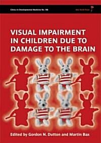 Visual Impairment in Children due to Damage to the Brain (Hardcover)