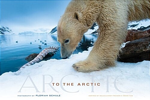 To the Arctic (Hardcover)