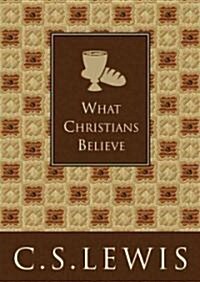 What Christians Believe (MP3 CD)