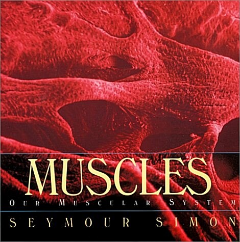 Muscles (Library)