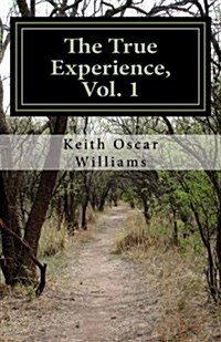 The True Experience, Vol. 1 (Paperback)