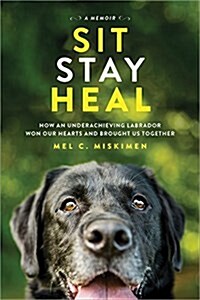 Sit Stay Heal: How an Underachieving Labrador Won Our Hearts and Brought Us Together (Paperback)