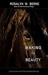 Waking to Beauty: Encounters with Remarkable Beings (Paperback)