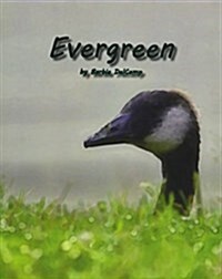Evergreen (Paperback)