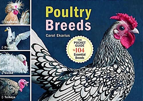Poultry Breeds: Chickens, Ducks, Geese, Turkeys: The Pocket Guide to 104 Essential Breeds (Paperback)
