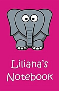 Lilianas Notebook (Paperback)