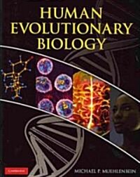 Human Evolutionary Biology (Paperback)