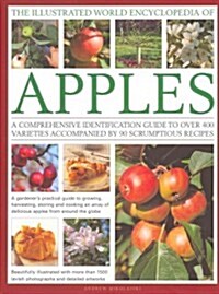 The Illustrated World Encyclopedia of Apples : a Comprehensive Identification Guide to Over 400 Varieties Accompanied by 95 Scrumptious Recipes (Hardcover)