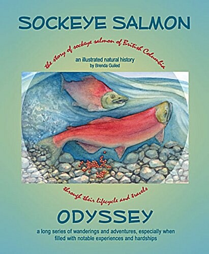 Sockeye Salmon Odyssey: An Illustrated Natural History (Paperback)