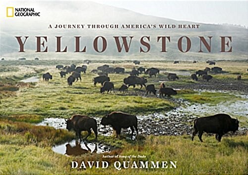 Yellowstone: A Journey Through Americas Wild Heart (Hardcover)
