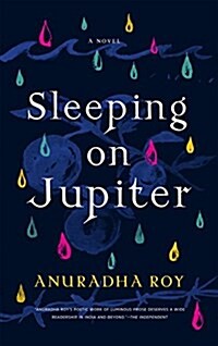Sleeping on Jupiter (Paperback)