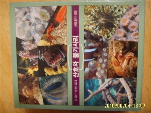 [중고] 한국일보 타임-라이프] (동물은 살아 있다) 산호와 불가사리 -산호초의 생물