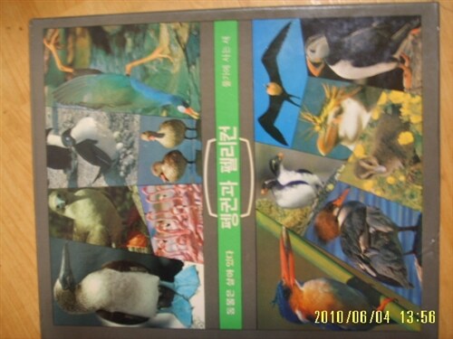 [중고] 한국일보 타임-라이프] (동물은 살아 있다) 펭귄과 펠리컨 -물가에 사는 새