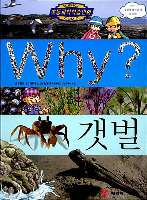 Why? 갯벌