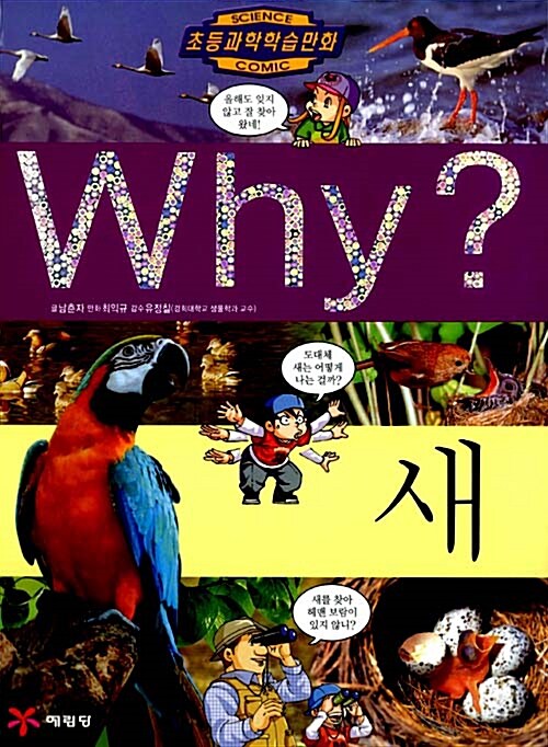 Why? 새