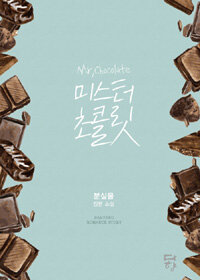 미스터 초콜릿 =분실물 장편 소설 /Mr. chocolate 