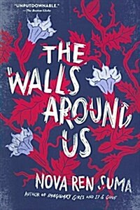 The Walls Around Us (Prebound, Bound for Schoo)