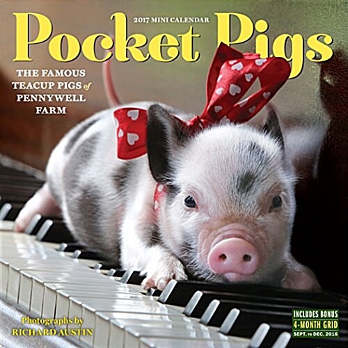 Pocket Pigs Wall Calendar 2017: The Famous Teacup Pigs of Pennywell Farm (Wall)