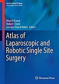 Atlas of Laparoscopic and Robotic Single Site Surgery (Hardcover, 2017)