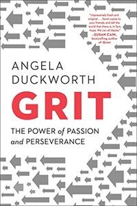 Grit: The Power of Passion and Perseverance (Paperback, Export)