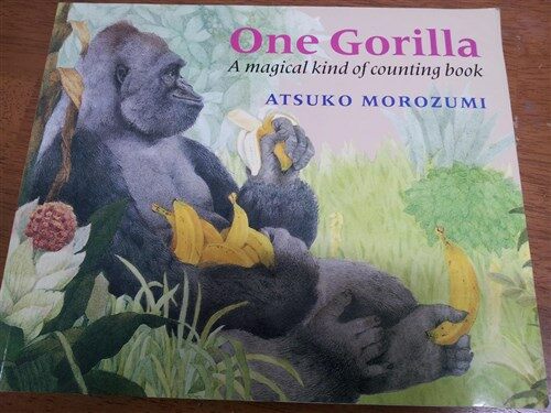 One gorilla 표지이미지