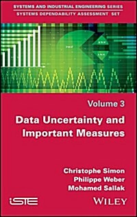 Data Uncertainty and Important Measures (Hardcover)
