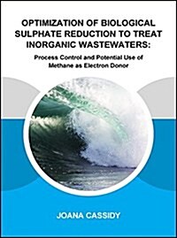 Optimization of Biological Sulphate Reduction to Treat Inorganic Wastewaters : Process Control and Potential Use of Methane as Electron Donor (Paperback)