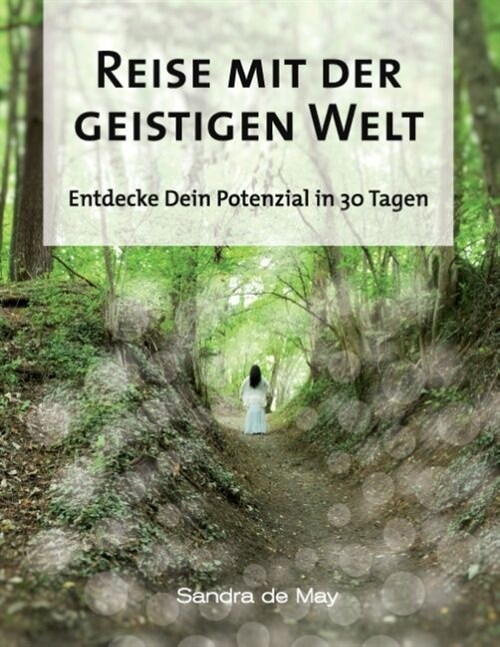 Reise Mit Der Geistigen Welt (Paperback)
