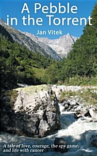 A Pebble in the Torrent (Paperback)