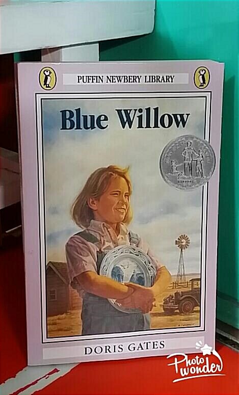 [중고] Blue Willow (Paperback)