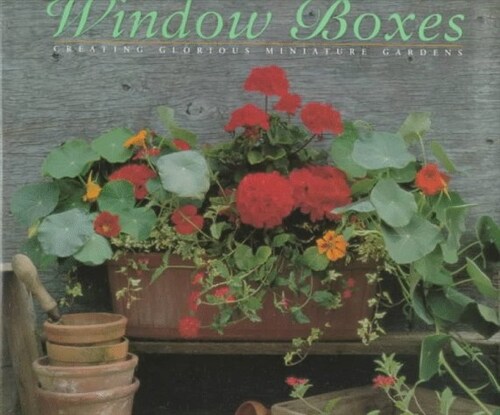 Window Boxes (Step-by-Step) (Hardcover)