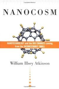 Nanocosm: nanotechnology and the big changes coming from the inconceivably small