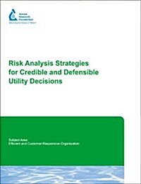 Risk Analysis Strategies for Credible and Defensible Utility Decisions (Paperback)